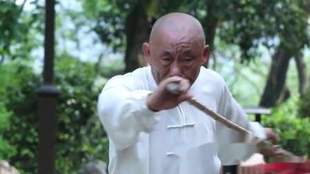 武术套路之甲组规定枪 甲组规定枪之套路四讲解