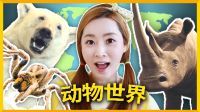 爱丽和故事 上海科技馆之旅 动物世界