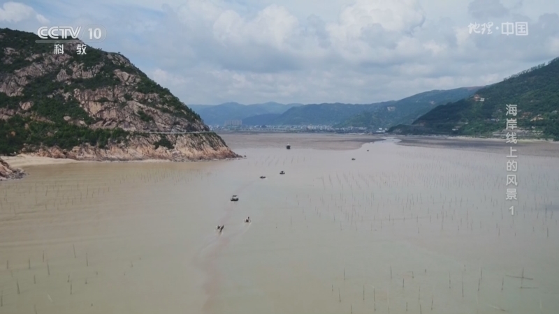 《地理·中国》 20260302 海岸线上的风景1