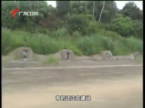 法眼 《法眼》 20130904 山林变身坟场的背后