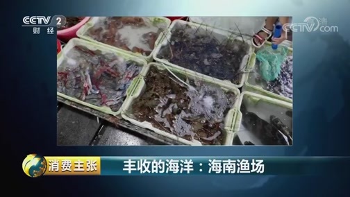 消费主张 《消费主张》 20181024 丰收的海洋：海南渔场