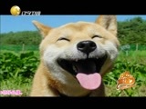 欢乐集结号 《欢乐集结号》 20151005