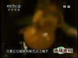 地球密码（周末精编节目） 周末精编节目 2010年 第158期 1-2
