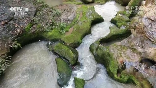 地理中国 《地理中国》 20190711 龙吟谜境