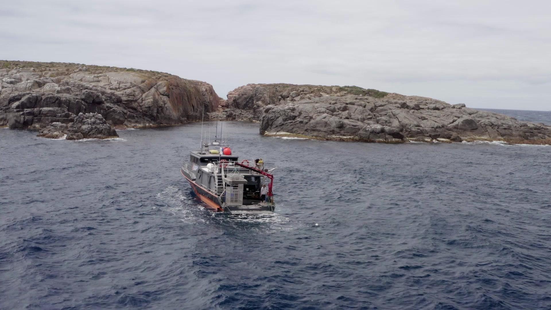 鲨鱼攻击实录第二季 第1集