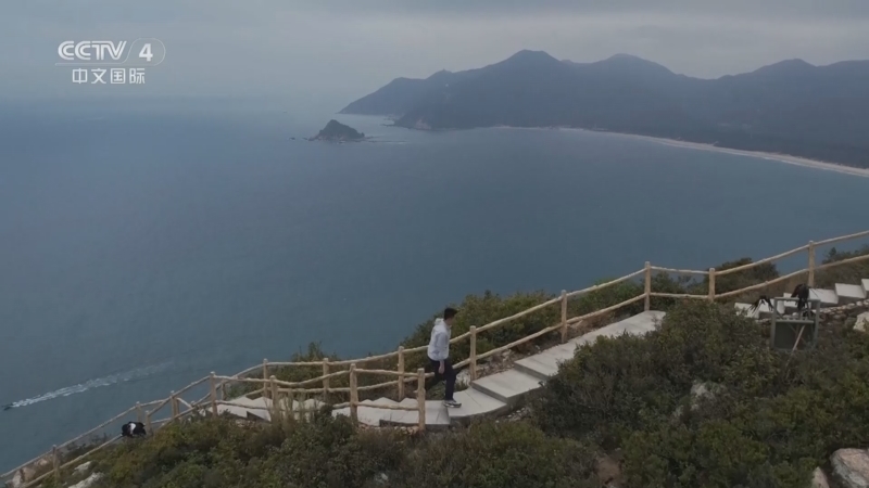 《远方的家》 20260610 山河锦绣看中国 山海连城 魅力深圳