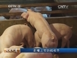 生财有道 《生财有道》 20131227 赶猪上架的机枪手
