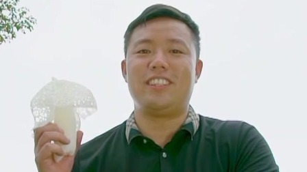 与梦想合拍 织金竹荪 真菌皇后