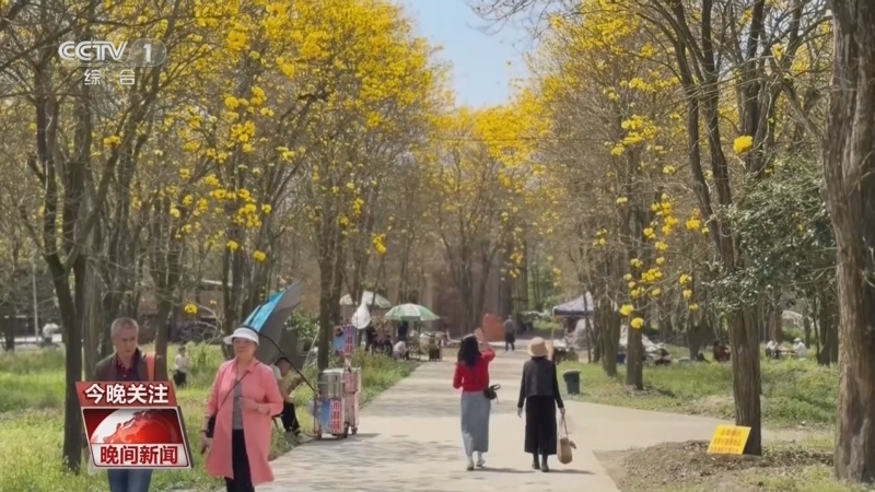 《晚间新闻》 20260405