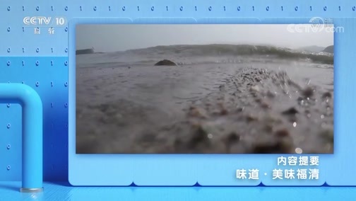 味道 《味道》 20191102 美味福清