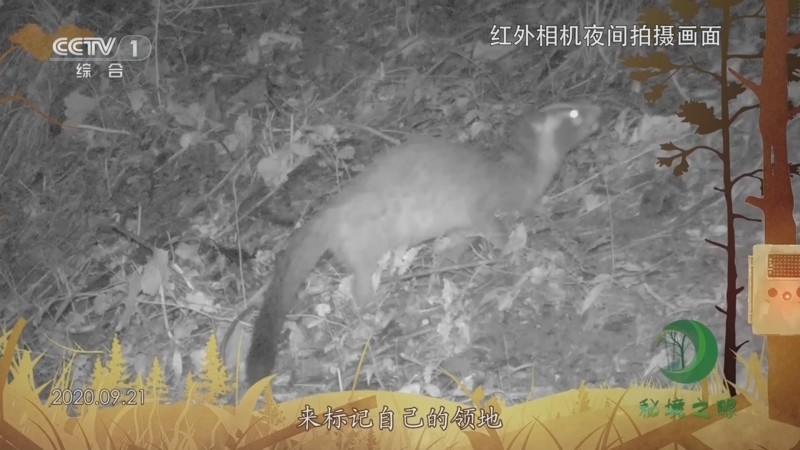 秘境之眼 《秘境之眼》 果子狸 20230910