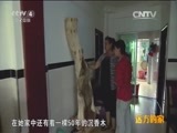 远方的家 《远方的家》五一特别节目 走四方 寻珍宝 20150504
