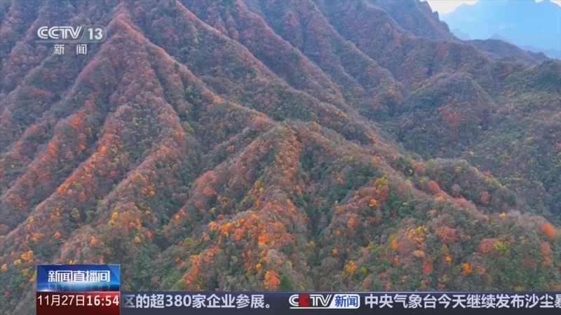 新闻直播间 《新闻直播间》 20251127 16:00