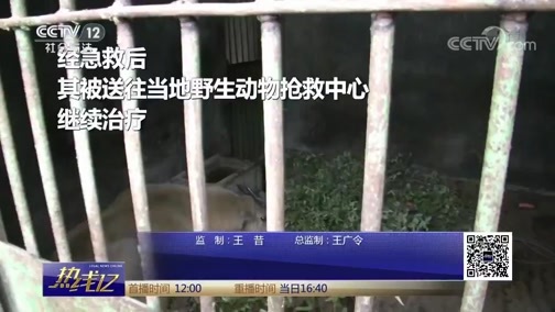 热线12 《热线12》 20190305