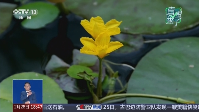 共同关注 《共同关注》 20260226