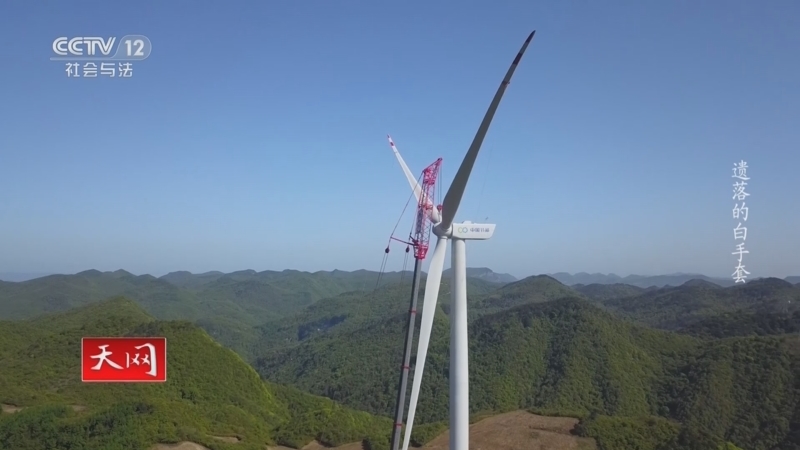 天网 《天网》 20230509 遗落的白手套