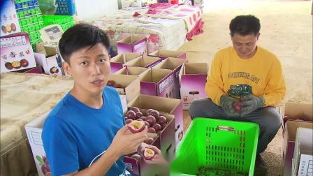 食在好源头 第三季 台湾篇（二）：寻找百香果、食用蛙类、莲子采收处理、可口莲藕