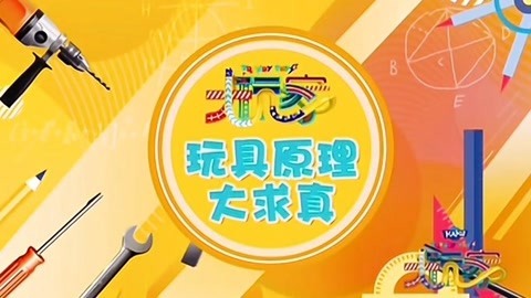 大玩家 2019 大玩家20191208