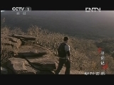 动物世界 《动物世界》 20130318