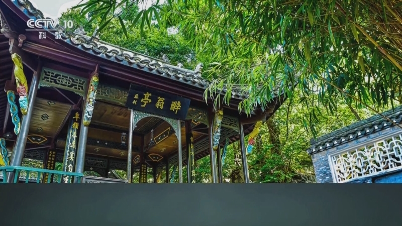 百家讲坛 《百家讲坛》 20240410 宋朝那些人和事儿（第二部） 11 《醉翁亭记》之谜