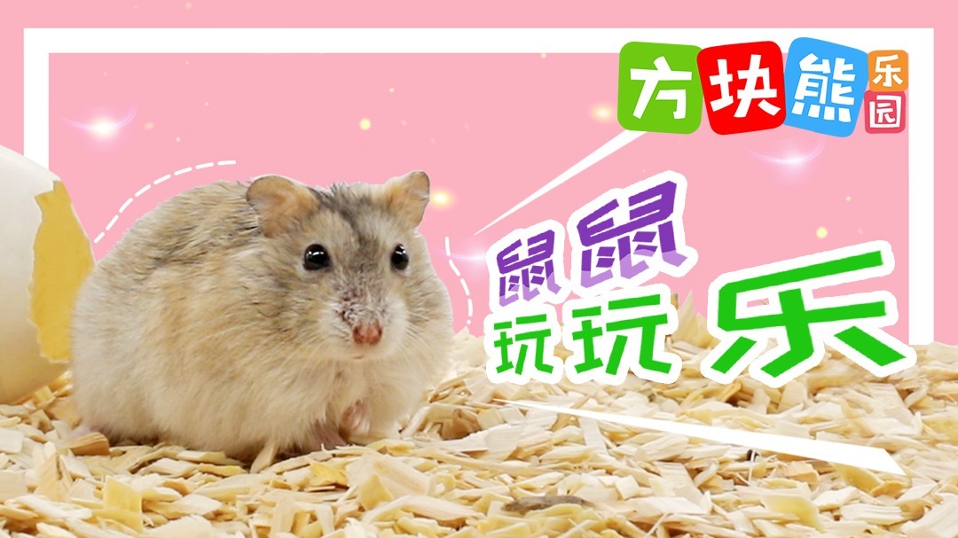 方块熊鼠仔玩玩乐
