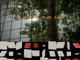 地理中国 [地理中国] 寻找“毒树”(20110613)