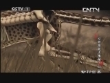 动物世界 《动物世界》 20131118 动物技能大揭秘（四）