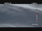 动物世界 《动物世界》 20141123 海岛历险记（五）