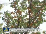 新闻联播 《新闻联播》 20171211 19:00