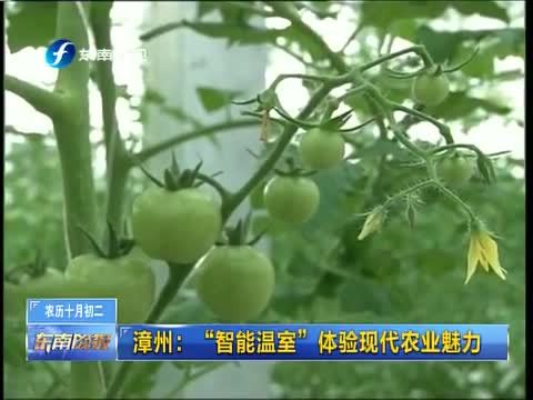 东南晚报 《东南晚报》 20141123