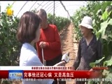 辽宁新闻 《辽宁新闻》 20170518