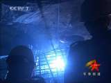 军事报道 军事报道 2010-11-15