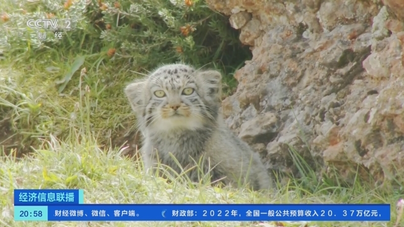 经济信息联播 《经济信息联播》 20230321