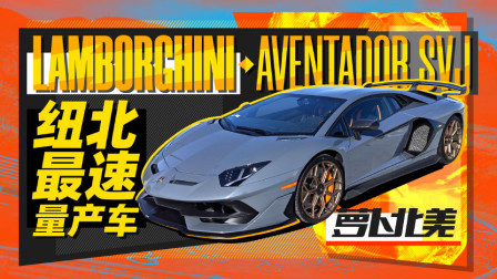 萝卜报告 2020 纽北最快量产车！比大牛还贵的兰博基尼只有它
