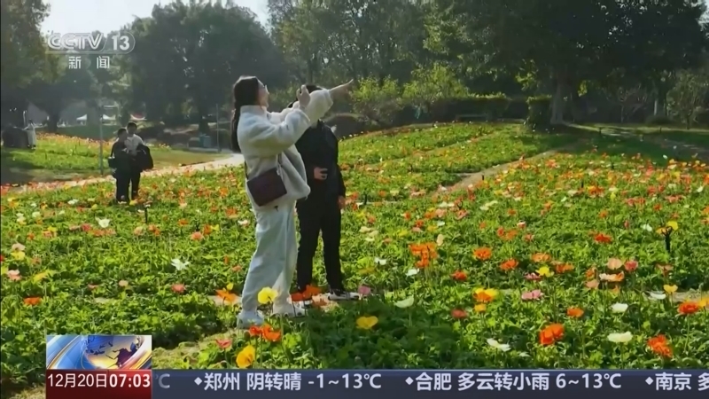 《朝闻天下》 20251220 07:00