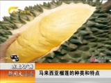 新闻夜总汇 《新闻大通道》 20161106