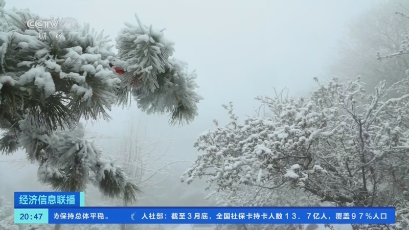 经济信息联播 《经济信息联播》 20230424