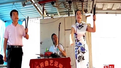河南坠子 范翠霞 刘公案斩刘墉