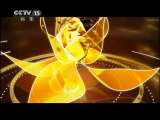 风华国乐 风华国乐 2011年 第64期
