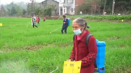 民生要点精选 应对超强台风和大暴雨：小麦丰收在即，农民该如何护收