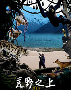 荒野之上第三季 海报