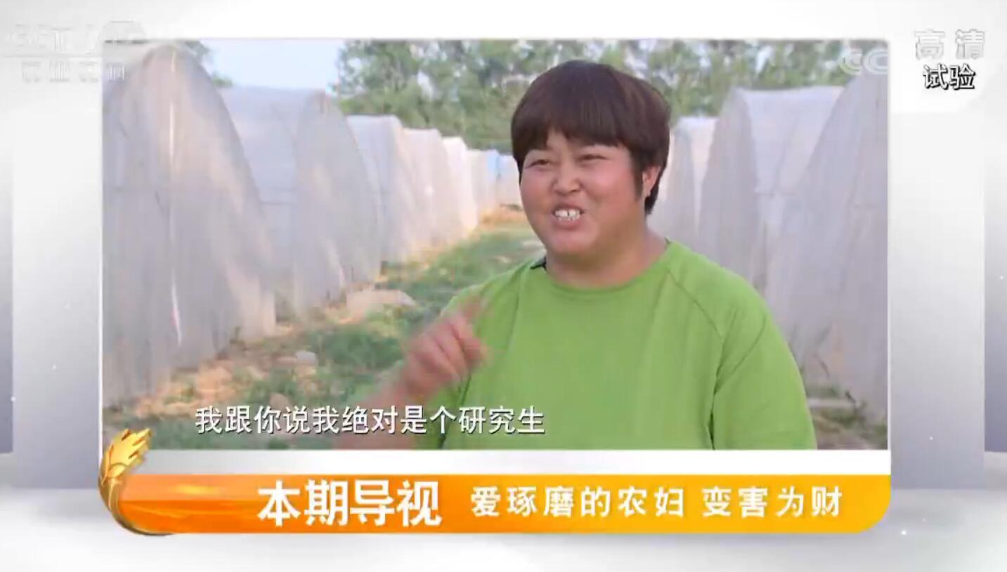 致富经 《致富经》 20190806 爱琢磨的农妇 变害为财