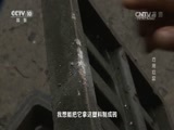 我爱发明 《我爱发明》 20160818 巧用垃圾