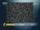 消费主张 《消费主张》 20171113 丰收的大地（一）：大豆亩产创新高
