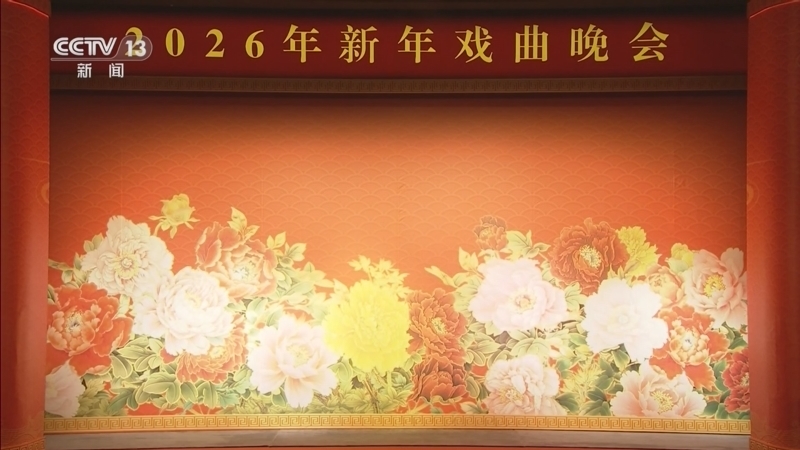 新闻直播间 《新闻直播间》 20251231 11:00