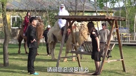 小罗恶搞 2017 小罗假装阿拉伯王子骑骆驼恶搞拜金女 42