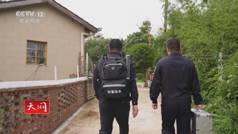 天网 《天网》 20251209 意外的同乘