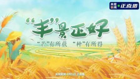 “丰”景正好 “芒”有所获 “种”有所得