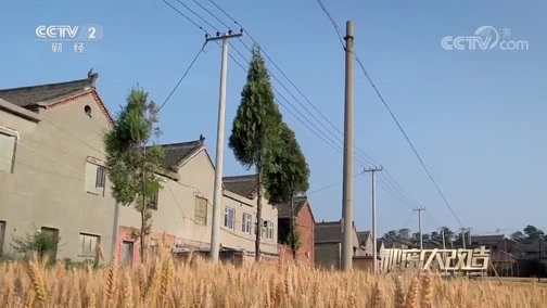 秘密大改造 《秘密大改造》第三季 20191019
