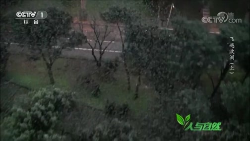 人与自然 《人与自然》 20190514 飞越欧洲（上）